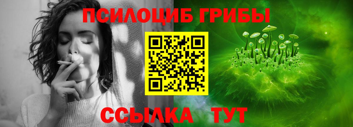 Псилоцибиновые грибы MAGIC MUSHROOMS  Вход с VPN  Кольчугино 